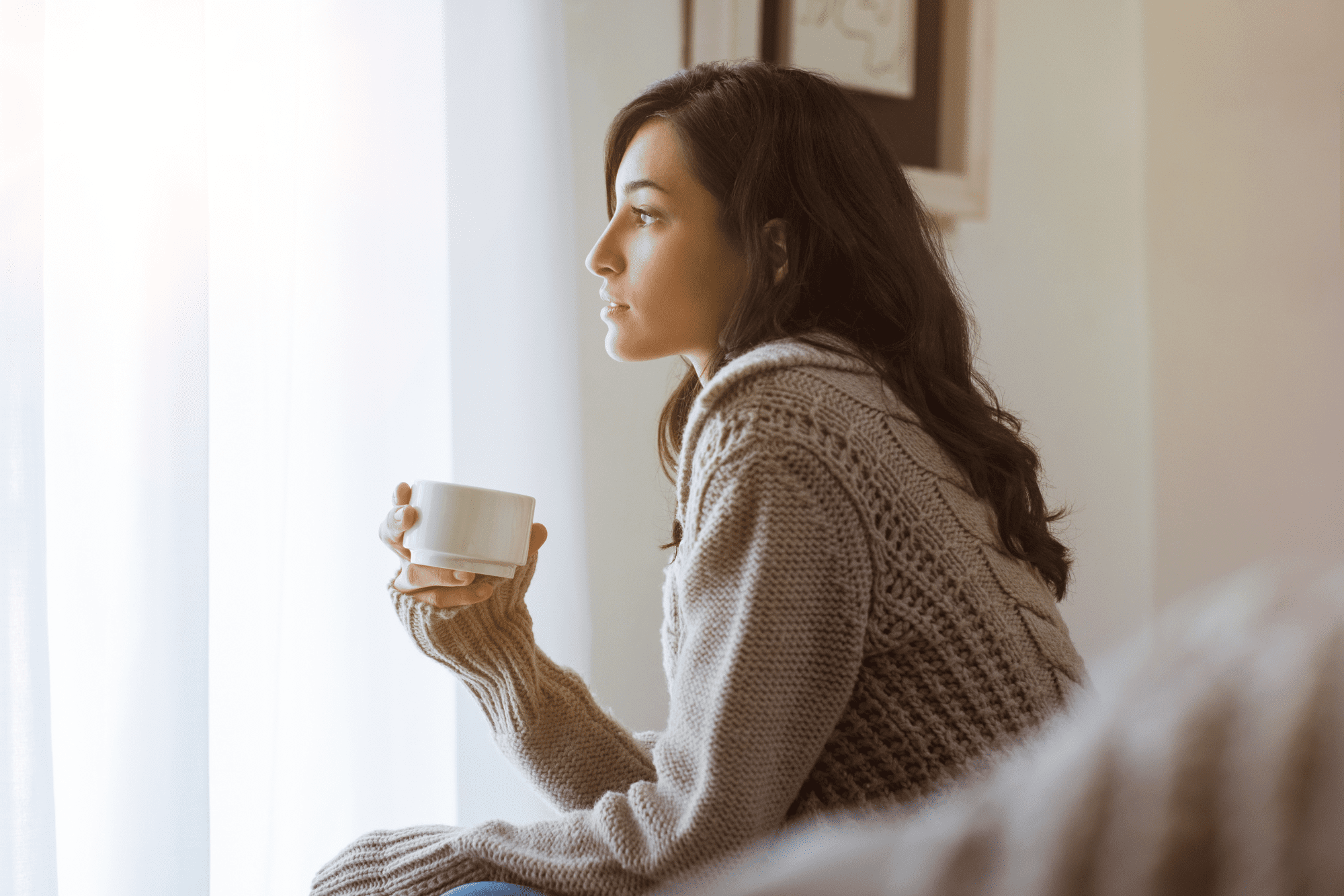 Learn about all your pregnancy options